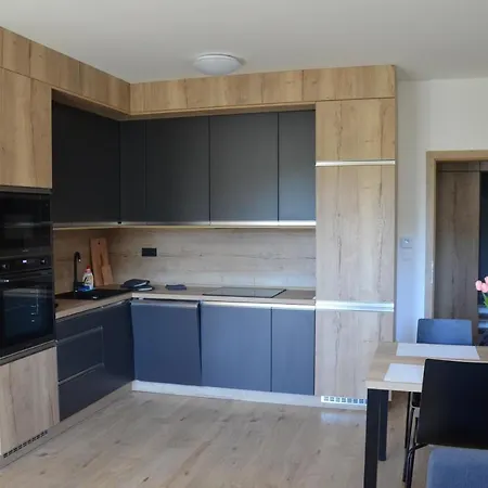 Visit Sauna Klinovec Apartment *