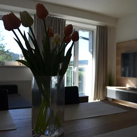 Visit Sauna Klinovec Loucna pod Klinovcem