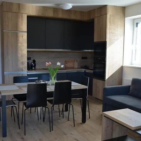 Visit Sauna Klinovec Apartment Loucna pod Klinovcem