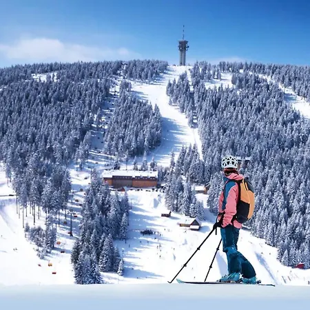 Visit Sauna Klinovec 아파트 Loučná pod Klínovcem