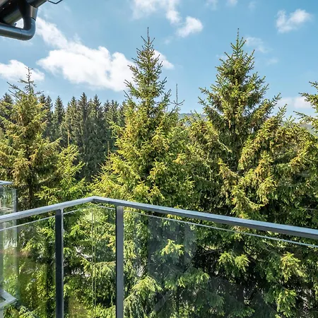Visit Sauna Klinovec 아파트 Loučná pod Klínovcem