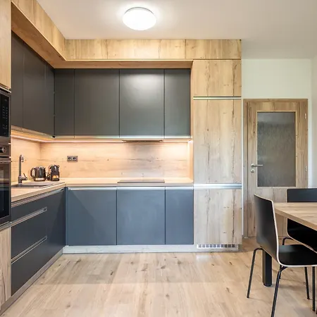 Visit Sauna Klinovec 아파트 Loučná pod Klínovcem